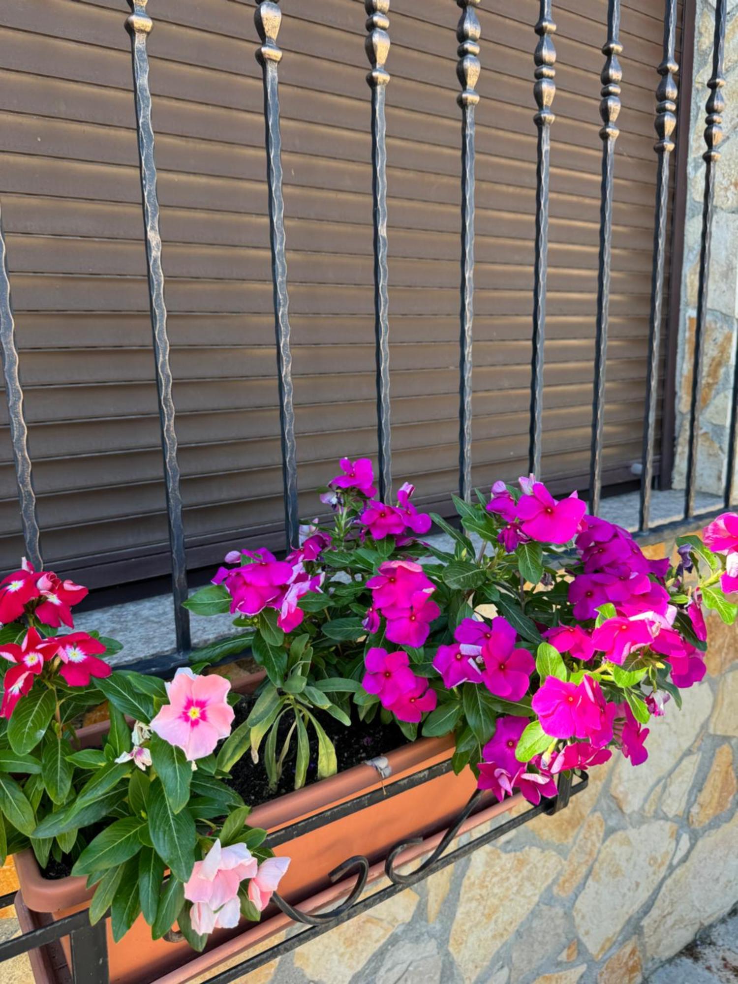 Villa Nada 玛里纳 外观 照片